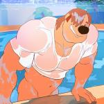 anthro biceps big_pecs black_nose bottomless clothed clothing grin hair light_body light_skin male muscular muscular_anthro muscular_male navel pecs shirt smile solo swimming_pool topwear water wet wet_clothing wet_hair wet_shirt wet_topwear remert disney goof_troop chad_(a_goofy_movie) mammal 1:1