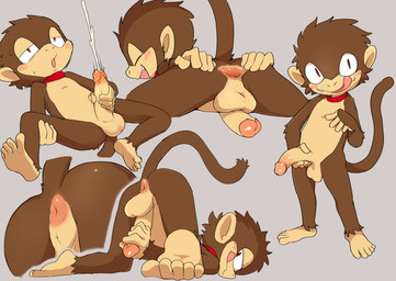 5_toes anthro anus balls blush brown_body brown_fur erection feet fur genitals humanoid_genitalia humanoid_penis looking_at_viewer male masturbation monotone_background nude penile penile_masturbation penis shota solo spread_anus spreading standing toes young young_anthro young_male manmosu_marimo aubin_eno haplorhine mammal monkey primate 2020 absurd_res hi_res