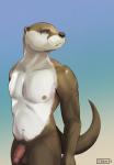 anthro athletic balls brown_body brown_fur circumcised flaccid fur genitals humanoid_genitalia humanoid_penis male muscular muscular_anthro muscular_male nude painting penis pubes simple_background solo white_body white_fur otterboxed mammal mustelid otter 2019 absurd_res hi_res shaded simple_shading