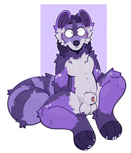 abstract_background animal_genitalia anthro balls belly blush bodily_fluids embarrassed eyebrows genital_fluids genitals leaking_precum male markings nails outline paws penis penis_tip precum purple_body raised_eyebrows round_eyes sheath slightly_chubby solo striped_markings striped_tail stripes tail tail_markings white_belly lakkithefox mammal procyonid raccoon absurd_res hi_res watermark