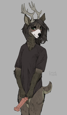 animal_genitalia animal_penis anthro antlers balls brown_body brown_hair clothed clothing covering covering_crotch covering_penis equine_genitalia equine_penis eyelashes fur genitals green_eyes hair horn long_hair male multicolored_body multicolored_fur pantsless pantsless_anthro pantsless_male penis scut_tail shirt short_tail shy solo t-shirt tail topwear white_body white_fur drunkmagpie deer mammal absurd_res hi_res