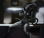 black_body black_skin bone breasts detailed_background female front_view genitals nipples not_furry nude pussy sitting skull solo tail zaggatar alien_(franchise) alien xenomorph 2022 hi_res portrait three-quarter_portrait