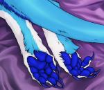 4_toes ambiguous_gender bed blue_body blue_fur blue_paws countershade_feet countershading feet fur furniture multicolored_body multicolored_fur paws solo tail toes two_tone_body two_tone_fur white_body white_fur bariesuterram blusky halley sergal