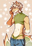 anthro biped brown_body brown_eyes brown_fur fur green_sleeveless_shirt hair male sleeveless_shirt slim_anthro slim_male solo white_body white_fur white_hair ci1rus canid canine canis mammal wolf 2024 hi_res