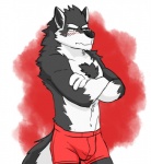 anthro biceps black_body black_fur black_nose blush boxers_(clothing) bulge chest_tuft clothed clothing countershading crossed_arms frown fur male muscular muscular_anthro muscular_male red_clothing red_underwear solo tail topless tuft underwear underwear_only white_body white_fur genchi orion_(aluminemsiren) canid canine canis mammal wolf