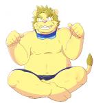 anthro belly blush bottomwear clothing eyes_closed humanoid_hands kemono male moobs navel overweight overweight_anthro overweight_male shorts simple_background sitting solo white_background n_gata21 felid lion mammal pantherine 2016