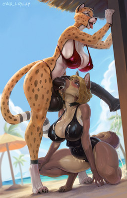 2_penises abdominal_bulge abdominal_bulge_deepthroat amber_eyes animal_genitalia animal_penis anthro anthro_on_anthro areola balls beach big_balls big_breasts big_penis bikini black_clothing black_penis black_swimwear blonde_hair blush bodily_fluids breasts choker choker_snapping clothed clothing cum cum_in_mouth cum_in_stomach cum_inflation cum_inside cum_on_balls cum_on_breasts cum_on_ground deep_penetration deep_throat diphallism dripping duo ejaculation equine_genitalia equine_penis erection excessive_cum excessive_genital_fluids eyes_closed fellatio female female_anthro fur genital_fluids genitals glistening glistening_balls glistening_clothing glistening_genitalia glistening_penis glistening_sheath glistening_swimwear gynomorph gynomorph/female gynomorph_anthro hair half-closed_eyes hands-free horizontal_diphallism huge_breasts huge_penis hyper hyper_genitalia hyper_penis inflation inner_ear_fluff intersex intersex/female intersex_anthro jewelry kneeling long_penis looking_at_another looking_pleasured markings medial_ring mismatched_animal_genitalia mismatched_animal_penis mismatched_genitalia mismatched_penis multi_genitalia multi_penis narrowed_eyes navel navel_line navel_piercing neck_bulge necklace nipples on_one_knee on_one_leg one-piece_swimsuit open_mouth oral oral_penetration orgasm orgasm_face penetration penile penile_penetration penis penis_in_stomach piercing red_clothing red_swimwear saliva sex sheath smile spots spotted_body spotted_fur spread_legs spreading standing submissive submissive_female surprised swimwear tail tears thick_thighs tongue tuft two-piece_swimsuit vein veiny_penis aib_leyley until_it_snaps kira_sharpovich canid canine cheetah felid feline mammal digital_media_(artwork) hi_res meme