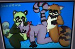 anal anal_penetration anthro balls fellatio genitals group male male/male oral oral_penetration penetration penile penis sex trio young sundevu indigo_park fan_character rambley_raccoon canid canine mammal procyonid raccoon raccoon_dog tanuki