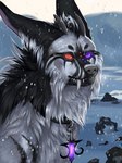 black_body black_fur collar detailed_background facial_piercing fangs feral fur furgonomics furry-specific_piercing glowing glowing_eyes grey_body grey_fur heterochromia horn long_fur muzzle_piercing nose_piercing outside piercing purple_eyes red_eyes sabertooth_(anatomy) snow solo teeth winter novery arinova_reivra_fhenix canid canine mammal 2025 digital_media_(artwork) hi_res portrait shaded