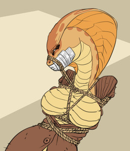 apode bdsm bondage bound breasts clothed clothing exposed_breasts eyebrows eyes_closed facial_scales featureless_breasts female gag hands_behind_back legless markings non-mammal_breasts orange_body orange_scales restrained restraints rope rope_bondage scale_eyebrows scales serpentine snake_hood snout solo sweater tape tape_gag topwear ventral_scales carniscorner x-com sarissa_(siansaar) draconcopode naga reptile scalie snake viper_(x-com) 2015