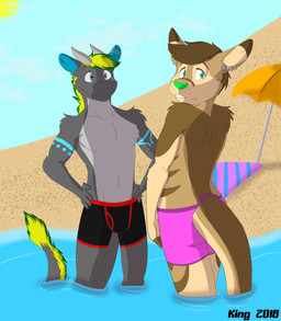 beach black_clothing black_underwear blue_markings boxer_briefs boxer_briefs_only brown_body brown_fur clothed clothing colored_seam_underwear duo ear_piercing fur green_eyes green_nose grey_body grey_fur male male/male markings parasol partially_submerged piercing pink_clothing pink_underwear smile swimming_in_underwear topless underwear underwear_only water kingdraws mythology king_(king21) dragon kangaroo macropod mammal marsupial mythological_creature mythological_scalie scalie 2018 hi_res
