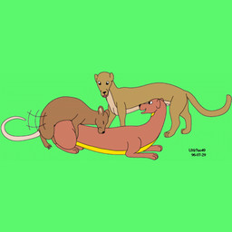 animal_genitalia brown_body brown_fur female feral from_behind_position fur genitals grass group humping interspecies male male/female mounting plant rat_tail sex sheath smile tail thrust_lines trio yellow_body yellow_fur urbanhermit mammal murid murine mustelid musteline rat rodent true_musteline weasel 1996 1:1 dated