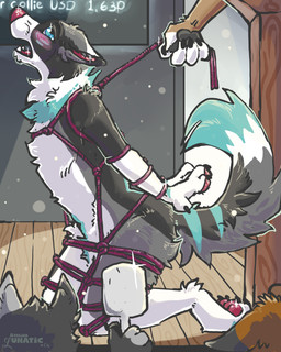 anthro arms_tied auction bdsm bondage bound group legs_tied male male/male restraints rope rope_bondage slave solo_focus atelierlunatic gordiethecollie border_collie canid canine canis collie domestic_dog herding_dog mammal pastoral_dog sheepdog 4:5 absurd_res hi_res