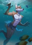 abs anthro athletic athletic_anthro athletic_male barefoot bulge clothed clothing day feet male navel outside sea solo swimming topless underwater underwear water multyashka-sweet paper_demon scott_(scottthefox94) canid canine fish fox mammal marine reptile scalie turtle 2021 hi_res