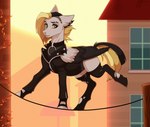 black_hair blonde_hair clothing collar ear_piercing female hair jacket leather leather_clothing leather_jacket leather_topwear legwear multicolored_hair piercing quadruped solo stockings telephone_wire topwear torn_clothing two_tone_hair wings shchavel hasbro my_little_pony mythology fan_character tlen_borowski_(oc) equid equine mammal mythological_creature mythological_equine pegasus absurd_res hi_res