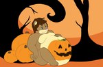 2017 4_fingers 4_toes anthro bear belly bent_leg big_belly blue_eyes bodypaint brown_body brown_fur brown_hair brown_tail closed_smile digital_drawing_(artwork) digital_media_(artwork) featureless_chest feet fingers flat_colors food fruit fur hair half-closed_eyes halloween hand_on_belly holidays male male_anthro mammal monty_(montyfatbear) moobs mouth_closed narrowed_eyes nude nude_anthro nude_male obese obese_anthro obese_male orange_sky outside overweight overweight_anthro overweight_male pink_nose plant pumpkin short_hair sitting sky smile solo tail theannoyingnpc toes tree yellow_body yellow_fur yellow_inner_ear