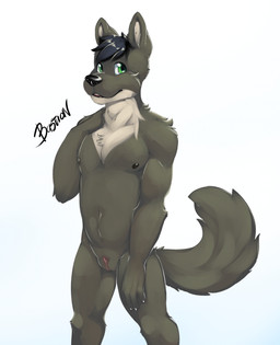 anthro black_hair castration cock_and_ball_torture eunuch fur genital_mutilation genital_torture green_eyes grey_body grey_fur hair male mutilation nullo penectomy solo white_body white_fur raineshadowpaw canid canine mammal 2019 absurd_res clip_studio_paint_(artwork) digital_media_(artwork) hi_res