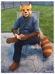 anthro barefoot blue_clothing blue_shirt blue_t-shirt blue_topwear book bottomwear brown_body brown_fur clothed clothing feet fence front_view fur grass grey_bottomwear grey_clothing grey_pants head_tuft holding_book holding_object looking_at_viewer male open_mouth open_smile orange_body orange_eyes orange_fur outside pants plant shirt sitting smile solo t-shirt tan_body tan_fur topwear tuft whiskers pache_riggs ailurid mammal red_panda 3:4 hi_res signature