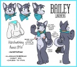 anthro biped blue_border blue_eyes border breasts clothing collar female fur genitals grey_body grey_fur hoodie innie_pussy kerchief nipples nude pussy scarf solo standing tail text topwear rick_griffin third-party_edit housepets! bailey_(housepets!) canid canine canis domestic_dog husky mammal nordic_sled_dog spitz 2012 english_text model_sheet nude_edit