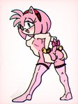 anthro clothing female legwear solo stockings randomguy999 sega sonic_the_hedgehog_(series) amy_rose eulipotyphlan hedgehog mammal hi_res