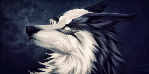 black_body black_fur black_nose feral fur male solo white_body white_fur volinfer canid canine canis mammal wolf 2015 digital_media_(artwork) headshot_portrait portrait
