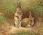 1925 20th_century absurd_res ambiguous_gender ancient_art beady_eyes brown_body brown_fur dated detailed_background duo feral fur grass hi_res lagomorph leporid long_ears mammal no_sclera nude oil_painting_(artwork) on_hind_legs outside painting_(artwork) plant public_domain quadruped rabbit realistic signature traditional_media_(artwork) victor_stoetzner-lund