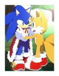 anthro blue_body blue_eyes blue_fur blush border cape clothing duo footwear fur gloves green_eyes handwear male outside shoes smile white_body white_border white_fur yellow_body yellow_fur kalk427 sega sonic_the_hedgehog_(series) miles_prower sonic_the_hedgehog canid canine eulipotyphlan fox hedgehog mammal hi_res