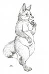 female overweight overweight_female solo standing oddwilds canid canine fox mammal hi_res monochrome