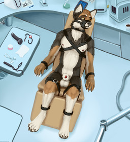 animal_genitalia anthro arms_tied ball_gag bound brown_body brown_fur chair claws dentist_chair erlenmeyer_flask fur furniture gag genitals inside laboratory_equipment laboratory_glassware legs_tied male muzzle_(object) muzzled paws penis scientific_instrument scissors sex_toy sheath solo tan_body tan_fur white_body white_fur lemurlemurovich canid canine canis mammal wolf hi_res