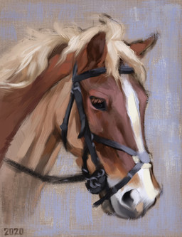 ambiguous_feral ambiguous_gender black_eyes blonde_hair bridle brown_body brown_fur canvas_texture feral fur hair markings solo white_markings alexpahomov equid equine horse mammal 2020