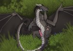 erection feral genitals grass grey_body horn lying male membrane_(anatomy) membranous_wings on_back penis plant presenting quadruped solo spread_wings tail wings flamingtitania european_mythology mythology allomere dragon mythological_creature mythological_scalie scalie western_dragon