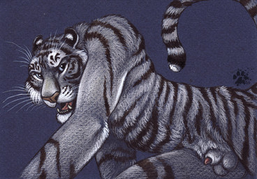 anatomically_correct balls blotch feline fur male mammal penis penis_tip sheath solo tiger white_fur white_tiger
Rating: Explicit
Score: 8
User: Vinea
Date: April 17, 2014