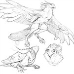 after_transformation avian_feet beak biped disembodied_hand feathered_wings feathers female feral flying head_feathers legband petting simple_background solo white_background wings tashcrow dr._franklins_island accipitrid accipitriform avian bird eagle harpy_eagle 1:1 watermark