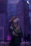 5_fingers anthro breasts city detailed_background female fingers fur grey_body grey_fur moon night outside sky solo star starry_sky taurusart canid canine canis mammal wolf digital_media_(artwork) hi_res