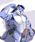 anthro big_muscles black_body black_fur blue_body blue_fur clothing coat erection fur genitals humanoid_genitalia humanoid_penis male mirror muscular papilla penis pink_penis solo spermary striped_body striped_fur stripes tongue topwear white_body white_fur yellow_eyes m13654530474 felid mammal pantherine tiger 2022 hi_res