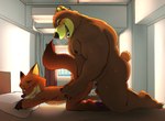 anal anal_penetration anthro balls bed duo furniture genitals male male/male nude penetration penis seyrmo disney zootopia blaze_(panzzy) nick_wilde bear canid canine fox mammal red_fox true_fox