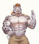 2019 abs anthro biceps big_muscles clothed clothing digital_media_(artwork) facial_hair felid fur hair hi_res male mammal muscular muscular_anthro muscular_male pantherine raytig12 smile solo tiger topless