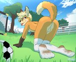 all_fours anthro backsack ball balls blep bottomwear butt clothing dirty dirty_clothing dirty_socks footwear genitals grass looking_at_viewer looking_back looking_back_at_viewer male outside plant presenting presenting_hindquarters public public_nudity raised_tail smile soccer_ball soccer_field socks solo tail tongue tongue_out young frostedchase tycloud canid canine fox mammal absurd_res hi_res