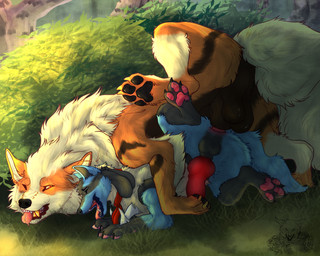 anal anal_knotting anal_penetration animal_genitalia animal_penis anthro anthro_on_feral anthro_penetrated balls bestiality canine_genitalia canine_penis duo erection feral feral_penetrating feral_penetrating_anthro from_behind_position genitals interspecies knot knot_root knotted_penis knotting large_penetration lying male male/male male_on_feral male_penetrated male_penetrating male_penetrating_male on_side open_mouth open_smile outside penetration penile penile_penetration penis sex sheath smile tongue tongue_out kasicz nintendo pokemon rashja wuffles arcanine canid canine generation_1_pokemon generation_4_pokemon lucario mammal pokemon_(species) hi_res