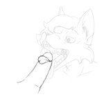 anthro bodily_fluids cum cum_in_mouth cum_inside cumshot disembodied_penis duo ejaculation erection fellatio genital_fluids genitals humanoid_genitalia humanoid_penis male male/male open_mouth oral penile penis penis_on_tongue sex throbbing throbbing_penis uvula nastymug canid canine mammal 1:1 2d_animation animated frame_by_frame hi_res short_playtime sketch