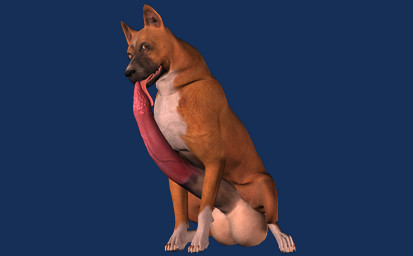 animal_genitalia animal_penis balls big_penis erection feline_genitalia feline_penis feral fur genitals huge_penis hyper hyper_genitalia hyper_penis looking_at_viewer male nude penis realistic_feral solo tapiko canid canine canis domestic_dog mammal 3d_(artwork) alpha_channel digital_media_(artwork)