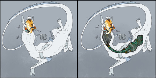 abdominal_bulge anthro anthro_prey black_insides black_tongue blue_mane feral feral_pred fur larger_pred long_tongue male male/male mane multiple_prey neck_bulge oral_vore size_difference soft_vore swallowing tongue vore white_body white_fur x-ray_view rejkariel mythology sklifos dragon furred_dragon furred_scalie mythological_creature mythological_scalie scalie hi_res