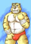 anthro belly blush bulge clothing humanoid_hands male moobs navel nipples one_eye_closed overweight overweight_anthro overweight_male solo underwear wink kondo_musashi musabo3neo felid mammal pantherine tiger 2017 hi_res