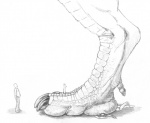 5-d big_feet bus claws dinosaur dragon giant hindpaw huge_feet human macro micro monochrome paws reptile scalie size_difference stomping talon talons vehicle
Rating: Questionable
Score: 2
User: dragonrump
Date: March 16, 2013