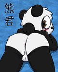 anthro anus backsack balls butt fur genitals hair male solo young pokefound da_silva jun_(pokefound) bear giant_panda mammal 4:5 hi_res