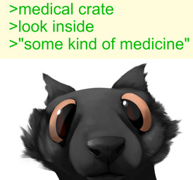ambiguous_anthro ambiguous_gender anthro big_ears big_eyes black_body black_fur black_nose brown_eyes cheek_tuft close-up facial_tuft fur glistening glistening_eyes greentext_(format) looking_at_viewer orange_eyes orange_sclera pointy_ears simple_background snout solo text tuft white_background hyacinth1971 casualties:_unknown canid canine expie_(gunsawian) fox gunsawian hybrid mammal murid murine rat rodent 2026 colored digital_drawing_(artwork) digital_media_(artwork) headshot_portrait hi_res meme portrait shaded