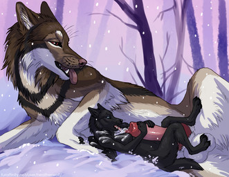 animal_genitalia animal_penis anthro anthro_on_feral balls bestiality black_body black_fur black_pawpads blue_eyes bodily_fluids bodyjob breasts brown_body brown_eyes brown_fur canine_genitalia canine_penis cum cum_on_breasts cum_on_shoulder duo erection extreme_size_difference fangs female female_anthro female_on_feral feral fur genital_fluids genitals intraspecies intraspecies_bestiality knot knotted_penis larger_feral larger_male lying male male/female male_feral nude on_back on_ground on_side open_mouth outside pawpads penile penis pink_penis plant raised_leg red_penis sex size_difference smaller_anthro smaller_female snow snowing tan_body tan_fur teeth tongue tongue_out tree white_balls white_body white_fur heatherwolf canid canine mammal