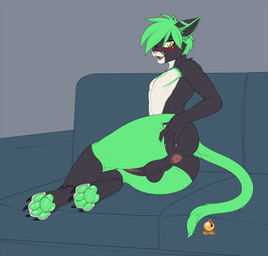 4_toes anklet anthro anus backsack balls black_butt black_claws blush butt claws erection facial_markings feet furniture genitals gradient_penis green_eyes green_hair green_markings green_pawpads green_tail hair head_markings humanoid_genitalia humanoid_penis jewelry looking_at_viewer lying male markings nude on_side on_sofa one_eye_closed open_mouth pawpads penis penis_tuck pink_nose sofa solo spread_butt spreading tail thick_thighs toes torso_markings white_claws white_toes bell-bell_(artist) aevyn domestic_cat felid feline felis mammal absurd_res hi_res