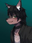 anthro clothing collar female green_eyes hair jacket short_hair simple_background solo topwear 3iurub iurub night_(theterm) canid canine fox mammal 2024 digital_media_(artwork) hi_res