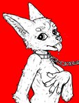 4_fingers anthro big_ears bodily_fluids breasts chain chain_leash collar covering covering_breasts female fingers leash nude saliva slave solo tongue tongue_out whiskers helregin canid canine fox mammal black_and_white hi_res monochrome